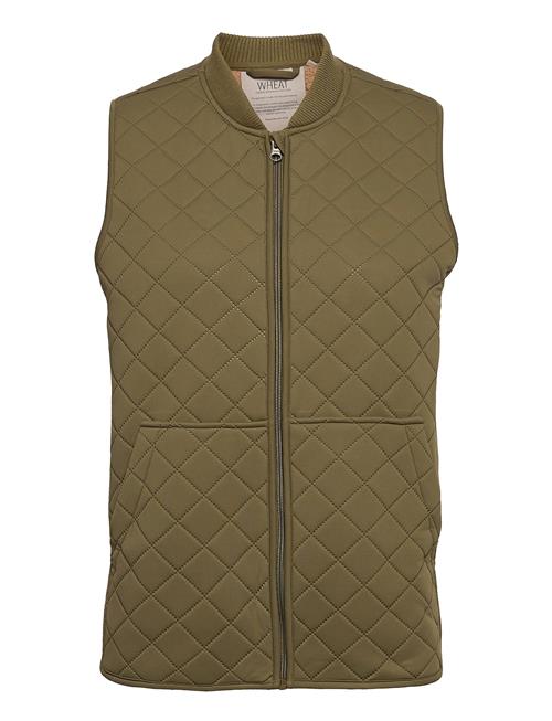 Wheat Thermo Gilet Eden Adult Wheat Green