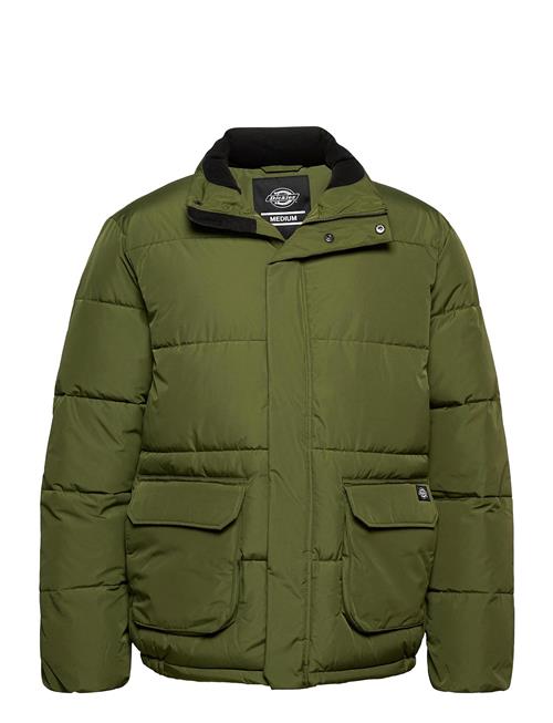 Dickies Olaton Jacket Dickies Green