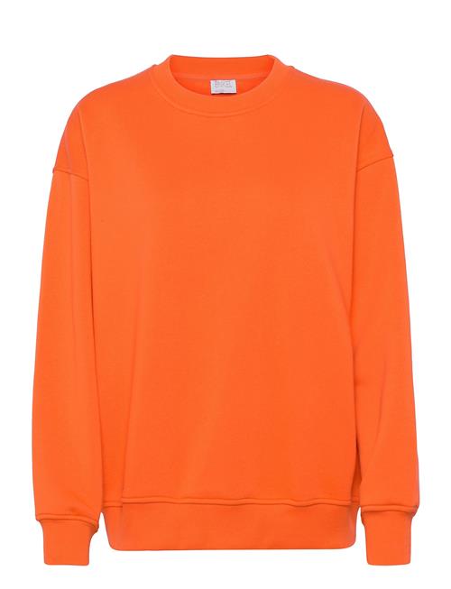 Se Enkel Studio Sweatshirt Enkel Studio Orange ved Booztlet