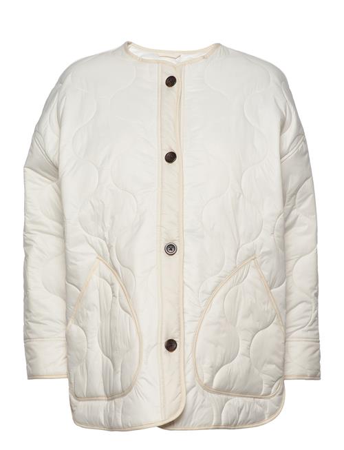 Abercrombie & Fitch Anf Womens Outerwear Abercrombie & Fitch Cream