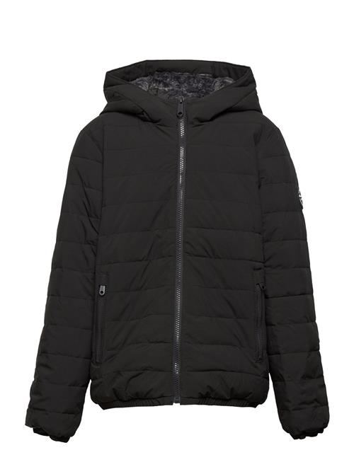 Abercrombie & Fitch Kids Boys Outerwear Abercrombie & Fitch Black