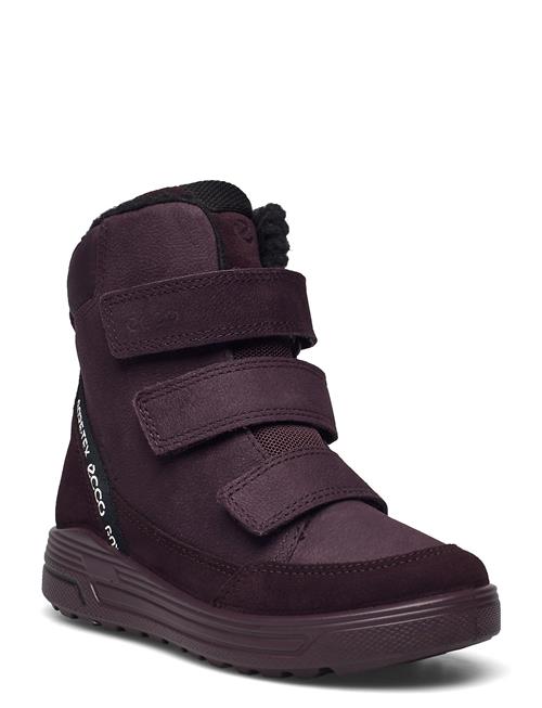 ECCO Urban Snowboarder ECCO Purple