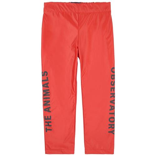 Se The Animals Observatory Chicken Pants Red Apple Black The Animals | Rød | 3 years ved Babyshop