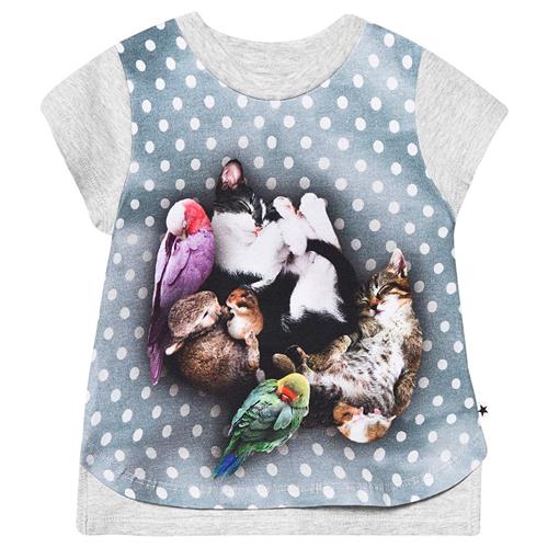 Se Molo Erin T-Shirt Søvnig Kæledyr | Grå | 74 cm ved Babyshop