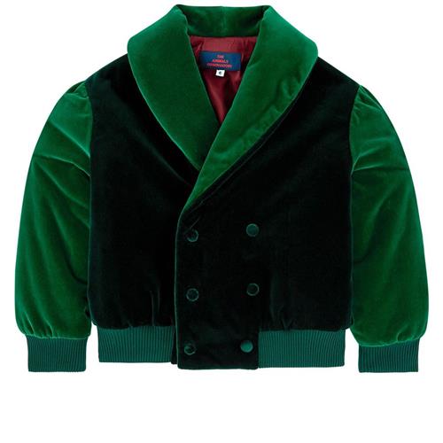 The Animals Observatory Tiger Jacket Deep Green Maroon Tao | Grønn | 2 years