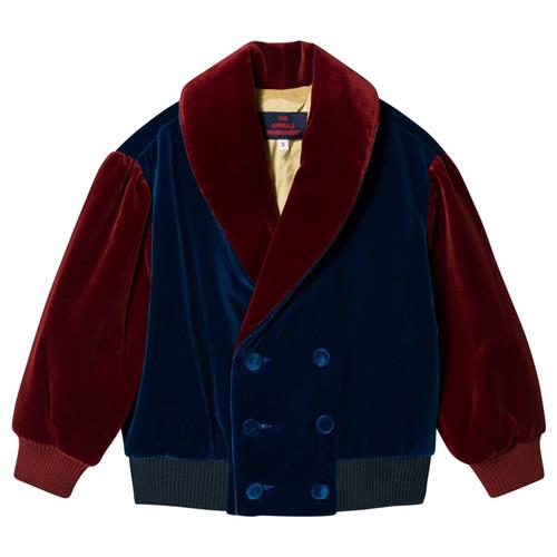 The Animals Observatory Tiger Jacket Navy Blue Yellow Tao | Marine blå | 2 years