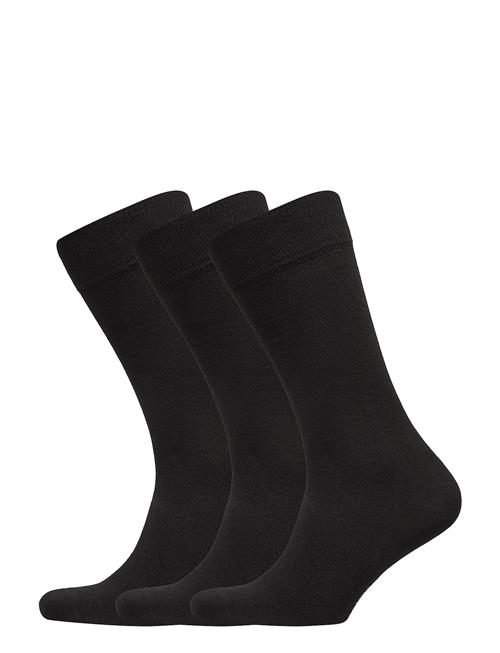 True Ankle Sock 3-Pack Amanda Christensen Black