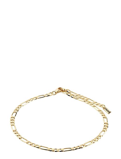 Dale Recycled Open Curb Ankle Chain Pilgrim Gold