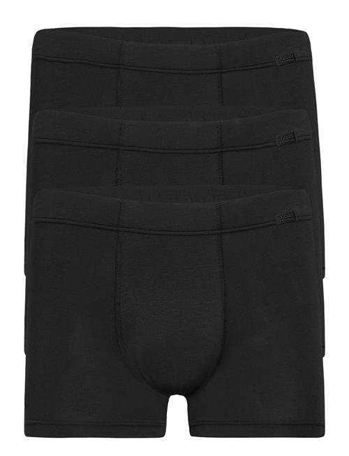 Cotton+ Trunk 3-P Jockey Black