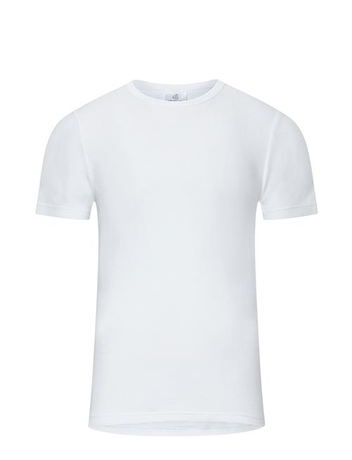 Jockey T-Shirt Jockey White