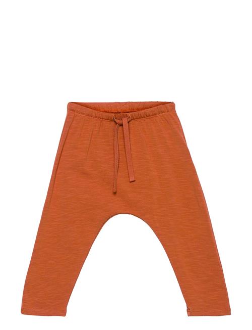 Sghailey New Owl Pants Soft Gallery Orange