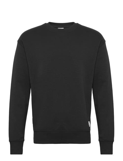 Sdlenz Crew Sw Solid Black