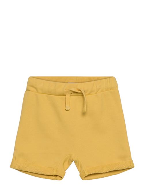 The New Tnsfilimu Sweat Shorts The New Yellow