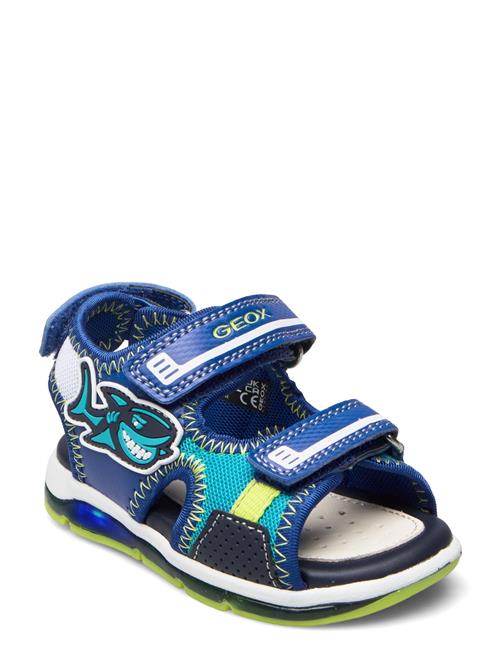 Se GEOX B Sandal Todo Boy GEOX Blue ved Booztlet