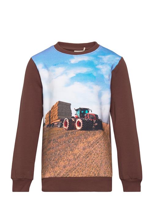 Se Minymo Sweatshirt Ls Minymo Brown ved Booztlet