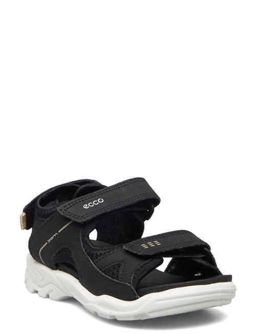 Biom Raft ECCO Black