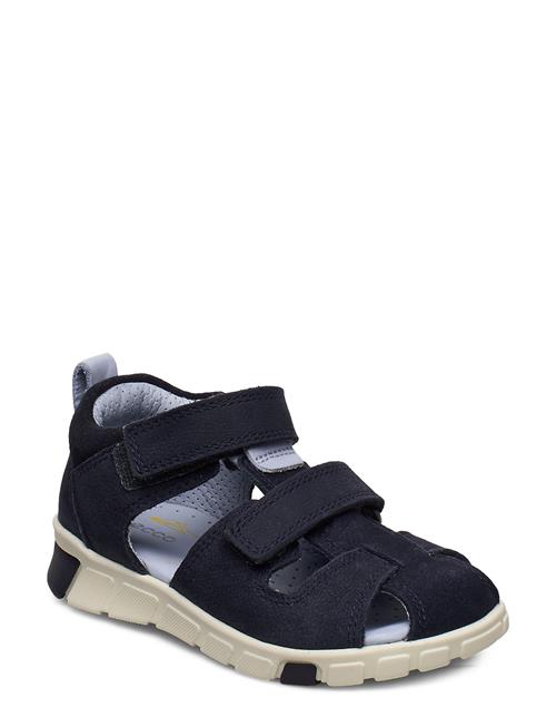 Se ECCO Mini Stride Sandal ECCO Blue ved Booztlet