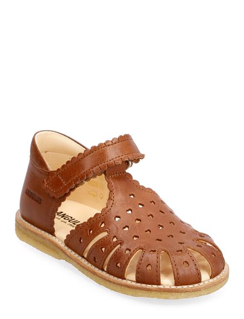 ANGULUS Sandals - Flat - Closed Toe - ANGULUS