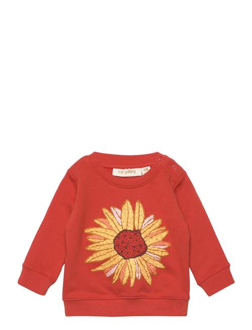 Se Soft Gallery Sgbbuzz Sunflower Sweatshirt Soft Gallery Orange ved Booztlet