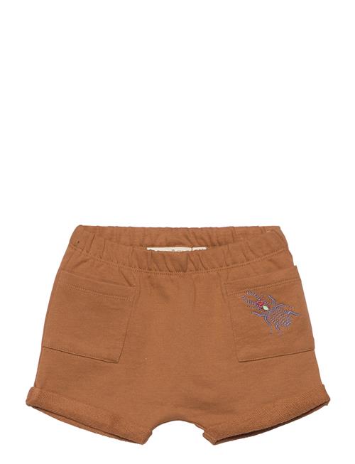 Soft Gallery Sgflair Emb Bugs Shorts Soft Gallery Brown