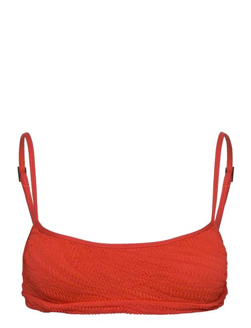 Bond-Eye Strap Saint Crop Bond-Eye Coral