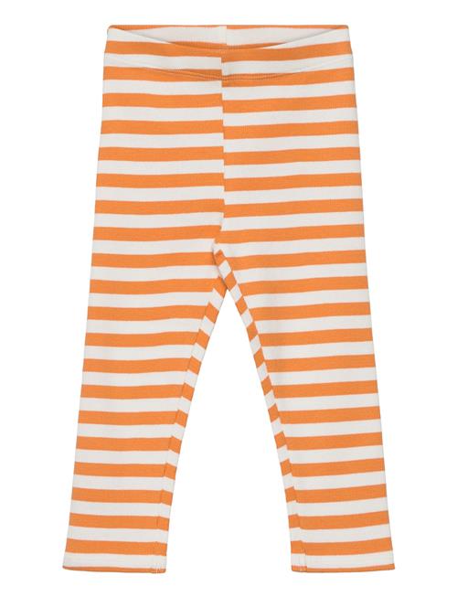 Se Soft Gallery Sgissey Yd Striped Leggings Acorn Soft Gallery Orange ved Booztlet