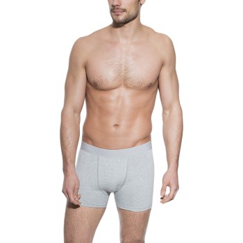 Bread & Boxers Bread and Boxers Boxer Brief Grå økologisk bomuld Large Herre