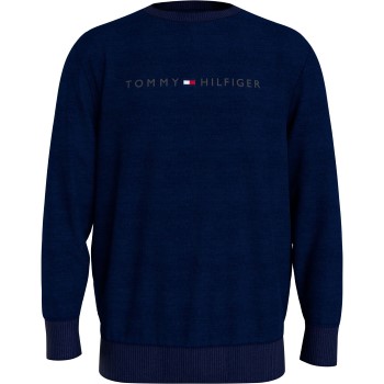 Se Tommy Hilfiger Icon Logo Relaxed Fit Sweatshirt Mørkblå Small Herre ved Timarco