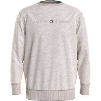 Se Tommy Hilfiger Icon Logo Relaxed Fit Sweatshirt Beige Small Herre ved Timarco