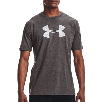 Se Under Armour Graphic Big Logo T-shirt Grå Large Herre ved Timarco