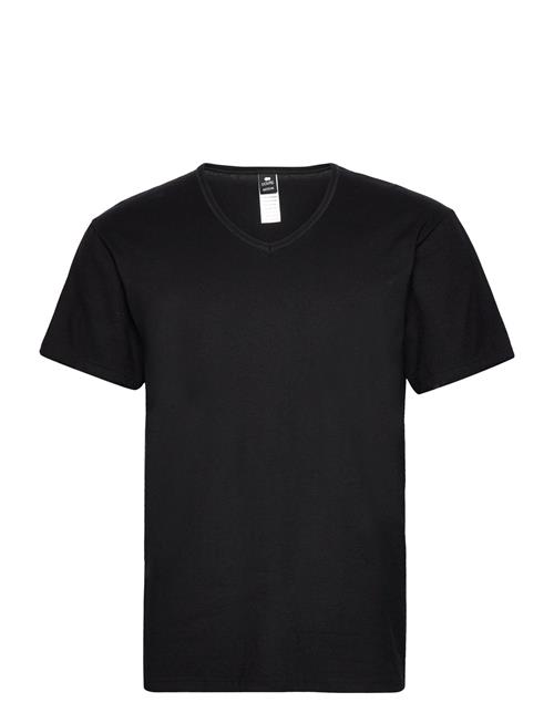 Dovre Dovre T-Shirts V-Neck Organic Dovre Black