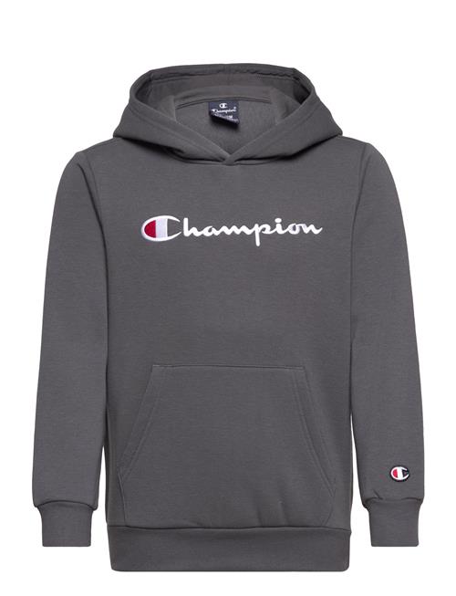 Champion Hooded Sweatshirt Champion Grey