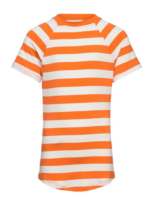 Se Mango Striped Print T-Shirt Mango Orange ved Booztlet