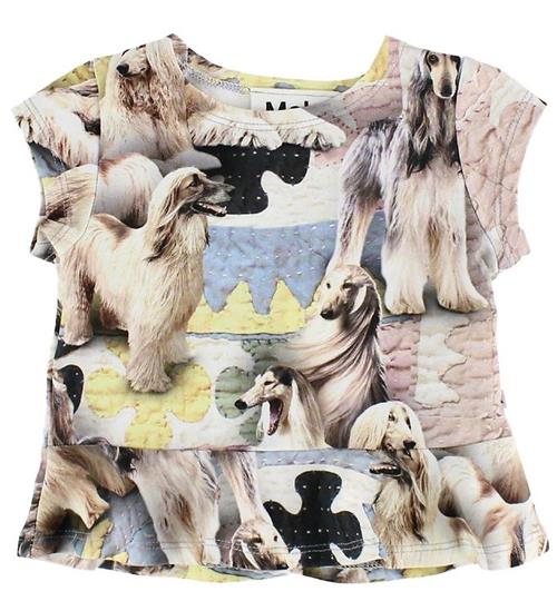 Molo Molo T-shirt - Ebba - Dogtastic