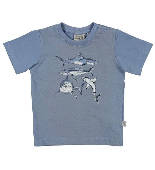 Se Wheat Wheat T-shirt - StÃ¸vet BlÃ¥ m. Hajer ved KidsWorld