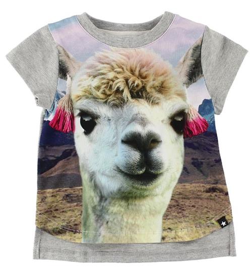 Molo Molo T-Shirt - Erin - Lama