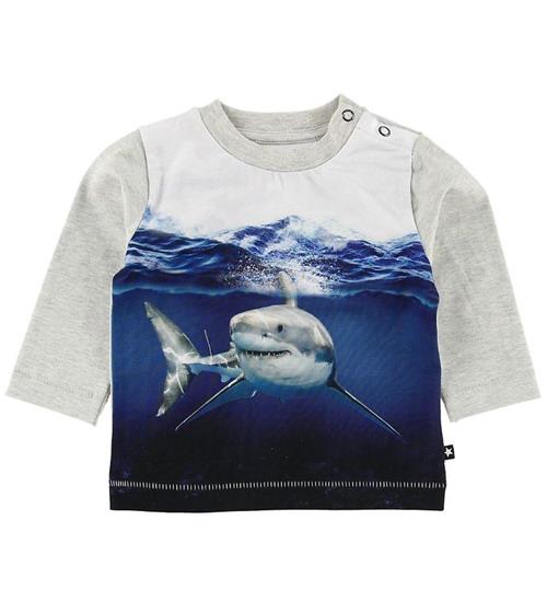 Se Molo Molo Bluse - Enovan - Shark Smile ved KidsWorld