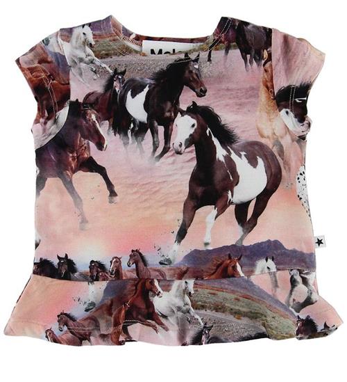 Molo Molo T-shirt - Ebba - Wild Horses