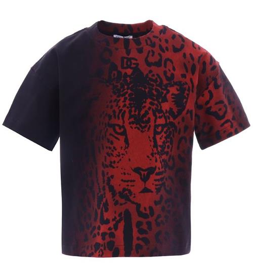 Se Dolce & Gabbana Dolce & Gabbana T-shirt - Animalier - Sort/RÃ¸d Leo ved KidsWorld