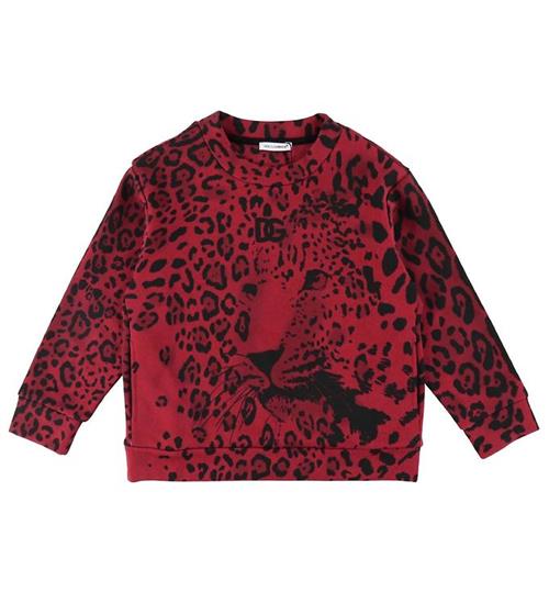 Se Dolce & Gabbana Dolce & Gabbana Sweatshirt - Animalier - RÃ¸d Leo ved KidsWorld