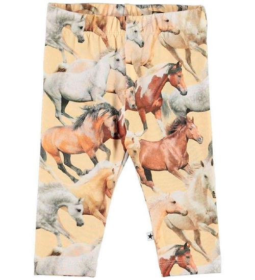 Se Molo Leggings - Stefanie - Horse Dreams ved KidsWorld