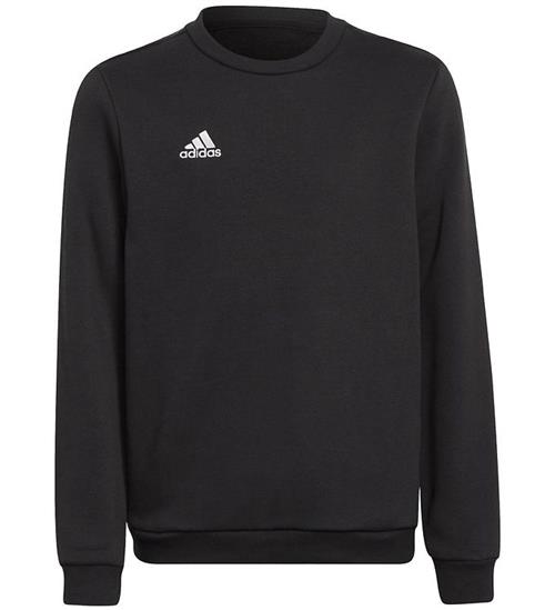 adidas Performance adidas Performance Sweatshirt - Entrada 22 - Sort