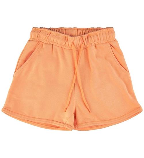 The New Shorts - TnGia - Apricot Nectar