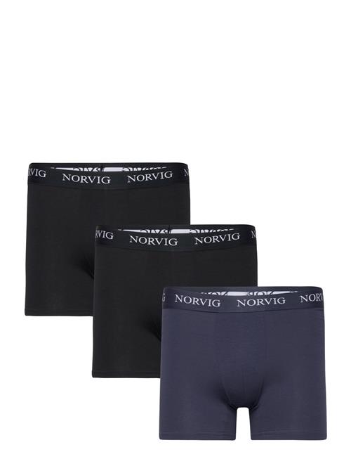 NORVIG 3-Pack Mens Tights NORVIG Black