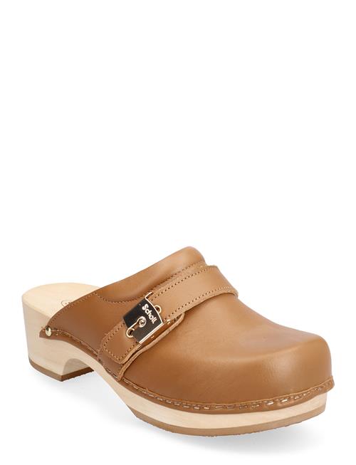 Scholl Sl Pescura Clog 50 Cognac Scholl Brown