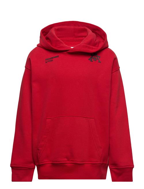 Abercrombie & Fitch Kids Boys Sweatshirts Abercrombie & Fitch Red