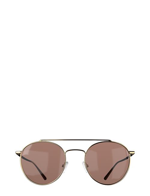 Corlin Eyewear Lori Gold Brown Corlin Eyewear Gold