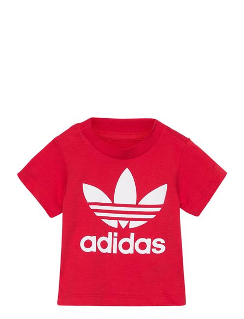 Trefoil Tee Adidas Originals Red