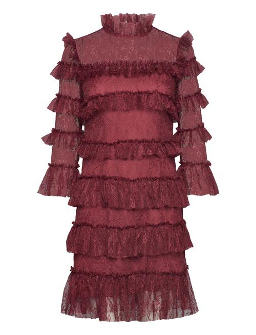 Malina Carmine Frill Mini Lace Dress Malina Burgundy