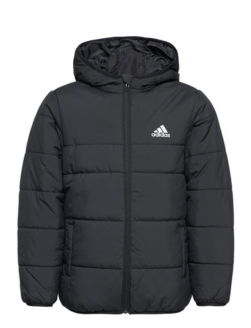 adidas Sportswear Jk Pad Jkt Adidas Sportswear Black